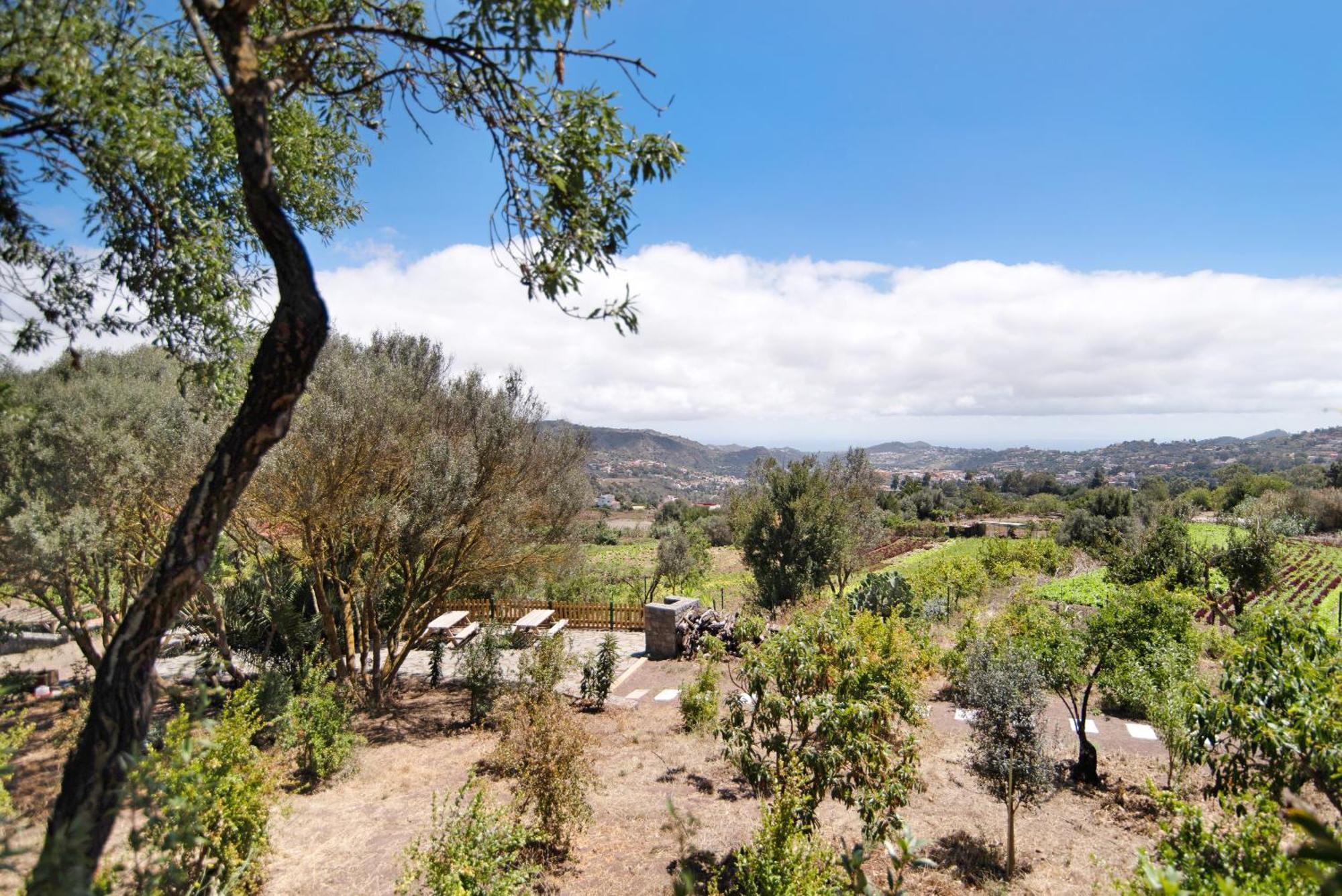 La Casita De La Orilla De Penate Villa Santa Brigida  Bagian luar foto